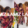 lamiz.pl (10).png
