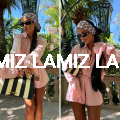 lamiz.pl.png